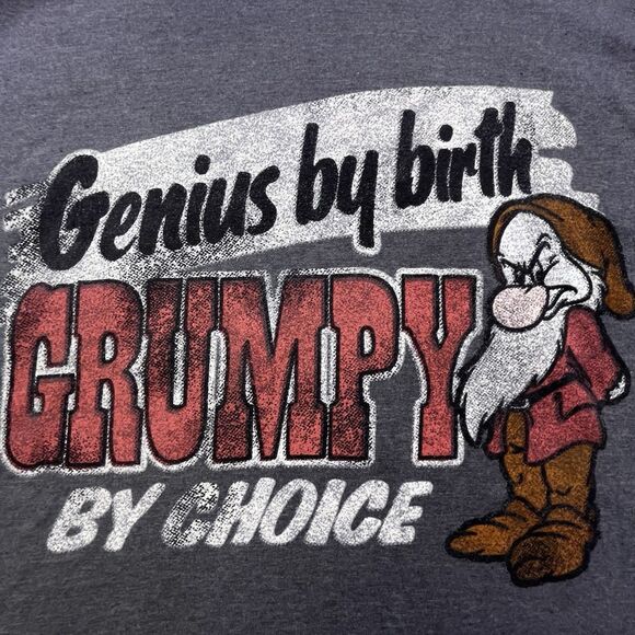 Disney Parks Lot of 2 Grumpy T-Shirts Adult M Gray & Tan Seven Dwarfs - Picture 9 of 13
